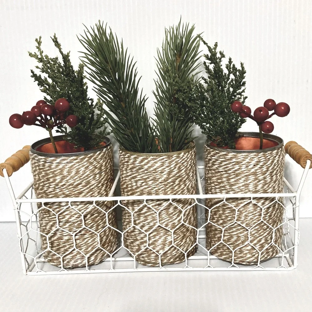 Farmhouse Shabby Chic Chicken Wire Basket Caddy Server 3 Twine Wrapped Cans